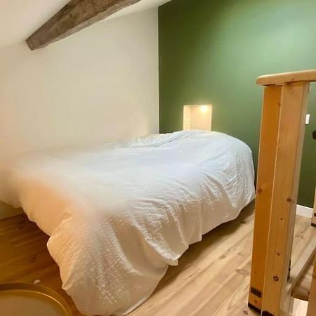 Apartament Le 23, Cocon Dans Le Centre Historique Montauban Zewnętrze zdjęcie