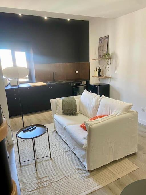 Apartament Le 23, Cocon Dans Le Centre Historique Montauban Zewnętrze zdjęcie