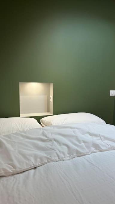 Apartament Le 23, Cocon Dans Le Centre Historique Montauban Zewnętrze zdjęcie