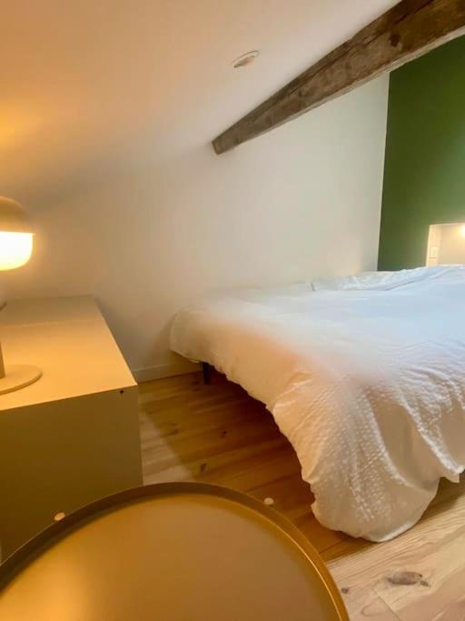 Apartament Le 23, Cocon Dans Le Centre Historique Montauban Zewnętrze zdjęcie